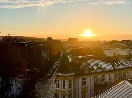 Frogner Gården Penthouse Terrasse