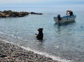 Vistas al Mar Mediterraneo