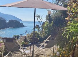 Pae veciu casa vacanze, hotel en Monterosso al Mare