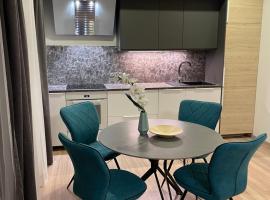 G3A2 apartment, budgethotel i Kaunas