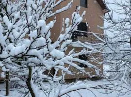 Apartmani Vlaška