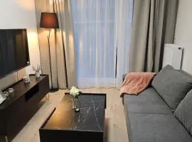 Villa Neptun Apartament nad morzem Gdańsk Wyspa Sobieszewska