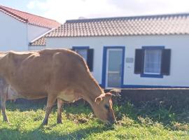 Viesnīca Casa da Alexandrina pilsētā Algarvia