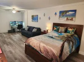 Beautiful Oceanview Condo with 75 inch TV