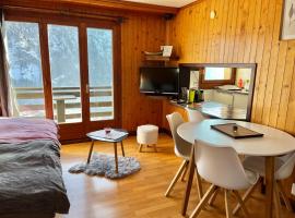 Salvan에 위치한 호텔 Appartement Chalet France