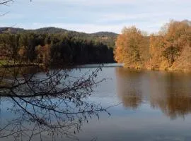 Ferienwohnung Waldblick FEWO 502