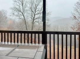Hilltop Condo Close to Silver Dollar City, appartement in Branson West