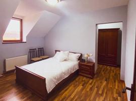 Hincesti Hotel, hotel en Hînceşti