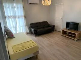 Grand Appartement de 3 pièces