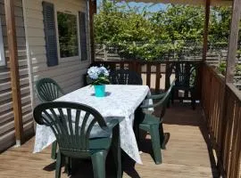 LES SALINS DE LA GARDIOLE