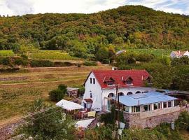 Inhauser Pincészet&Guesthouse&Restaurant, hotel with parking in Somlószőlős