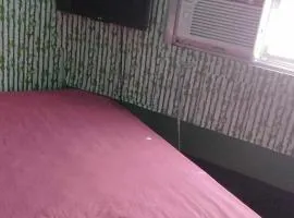 Quickshape/Quickshield Homestay