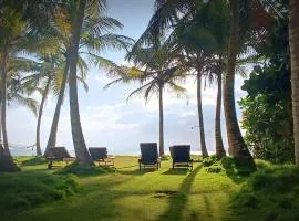 The Beach House