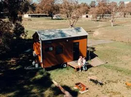 Odyssean Tiny House B