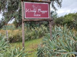 Woolly Bugger Farm, хотел с паркинг в Tonteldoos