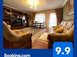 Apartament Boem în Inima Oraşului Craiova, holiday rental in Craiova