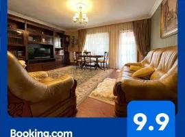 Apartament Boem în Inima Oraşului Craiova