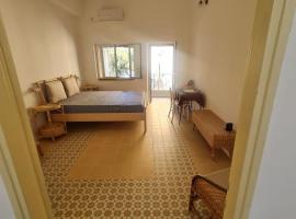 Bright, quiet charming getaway ideally located, מלון ידידותי לחיות מחמד בירושלים