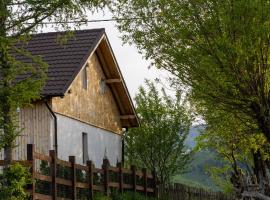 Ograda Magura village, hotel i Măgura