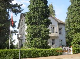 Villa Martha, отель в Баденвайлере