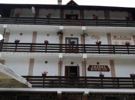 Pensiunea Madalina - LIMARA, hotel v destinaci Prăjila