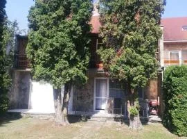 Holiday home in Keszthely - Balaton 49197