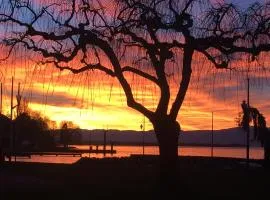 La Maison des Coeurs