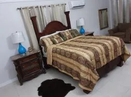 Escape at The Oasis- New Kingston Area -24hrs Security, Elevator, Water Heater, WIFI
