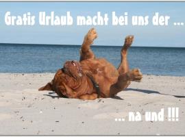 Bungalow WALD & SAND direkt am Strand, vila v destinaci Dranske