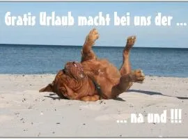 Bungalow WALD & SAND direkt am Strand、ドランスケのバンガロー