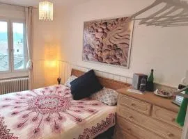 1 Zimmer zentral ruhig mit Flair im Gertrud Schlössli 3Z1