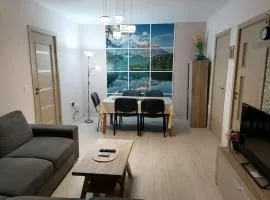 Apartament Confortabil, Luminos