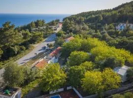 Apartments with parking space Babino Polje, Mljet - 22319
