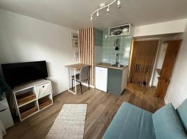 Studio proche du centre-ville, hotel with parking in Arpajon