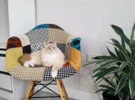 Private room with large bathroom near Heathrow & Windsor