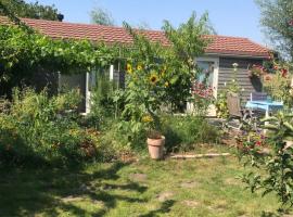 Rosa's zonnige huisje bij duinen bos en strand, hotel i Warmenhuizen