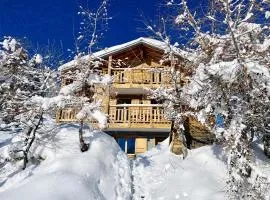 Paradis Perdu SKI IN & QUIET chalet 14 personnes