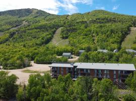 Les Appartements du Massif de Charlevoix, готель у місті Петіт-Рів'єр-Сен-Франсуа