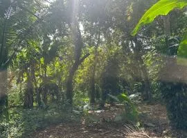 Pepper Villa