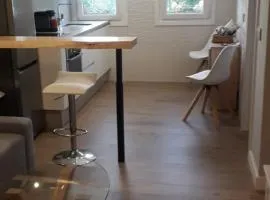 Apartamento con vistas al río
