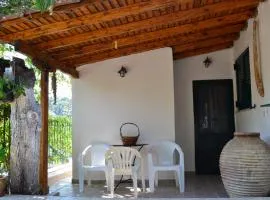 Quiet Agricultural Guesthouse