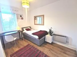 Single room in charming apartment with the terrace and the cat in Sandymount