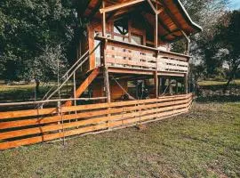 The Treehouse of The Dragon