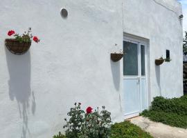 Casa Rural El Pasil, landsted i Arona