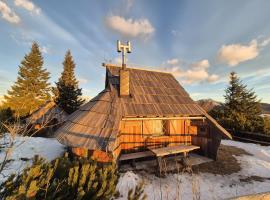 Koča Velika Planina - Chalet Kamrica, seoska kuća u gradu Stahovica