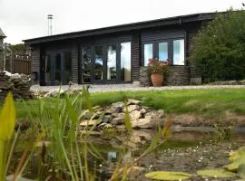 Little Well, stunning setting - 2 acres, dogs welcome