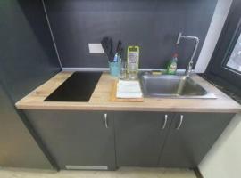 Budget Central Serviced Studio Apartment, hotel din Sunderland