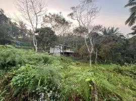 Mangalasery home stay