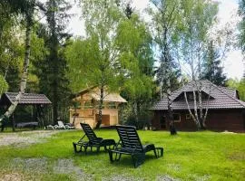 Cabana din padurea Belis si casuta din copac