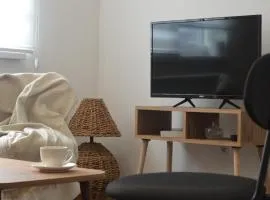 Studi-apartman Kestenov stan